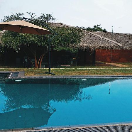 The Elephant Pass - Yala Tissamaharama Esterno foto
